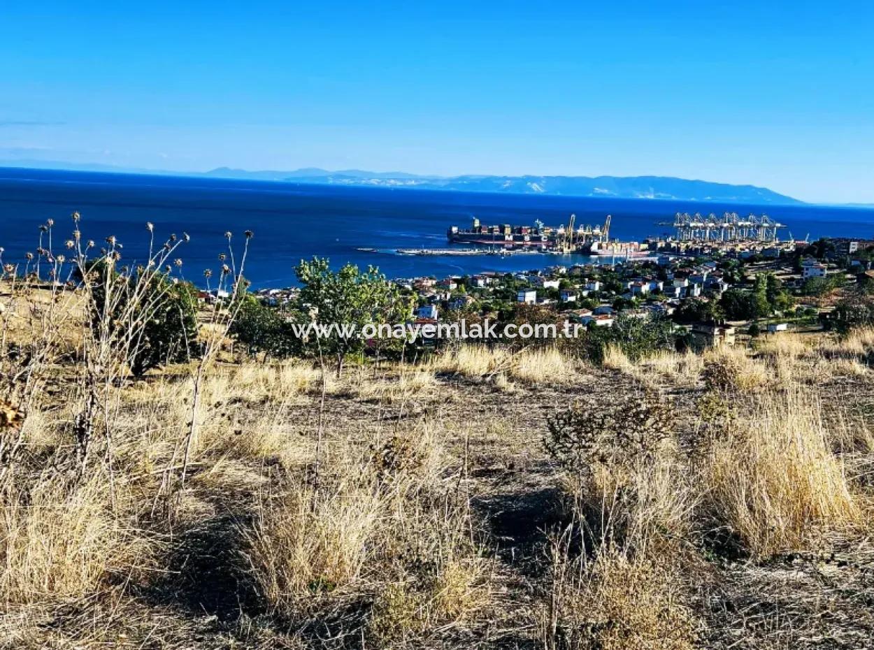 532 M2 Eckgrundstück Zum Verkauf In Tekirdag Süleymanpaşa Barbaros Nachbarschaft Mit Herrlichem Meer- Und Naturblick