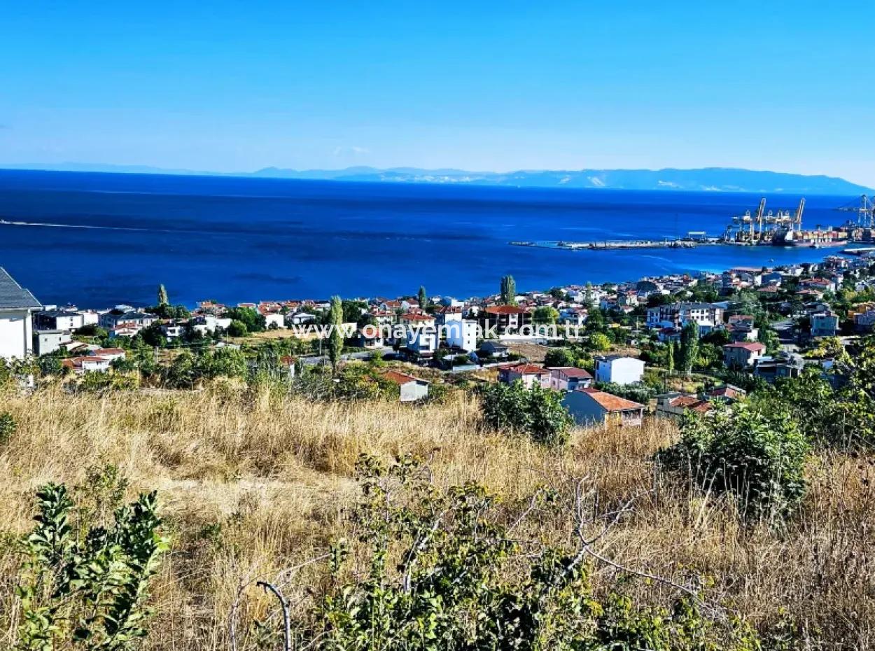 25 Wohnungen Mit Vollem Meerblick Gutscheinplatz Zum Dringenden Verkauf In Tekirdag Barbarosta