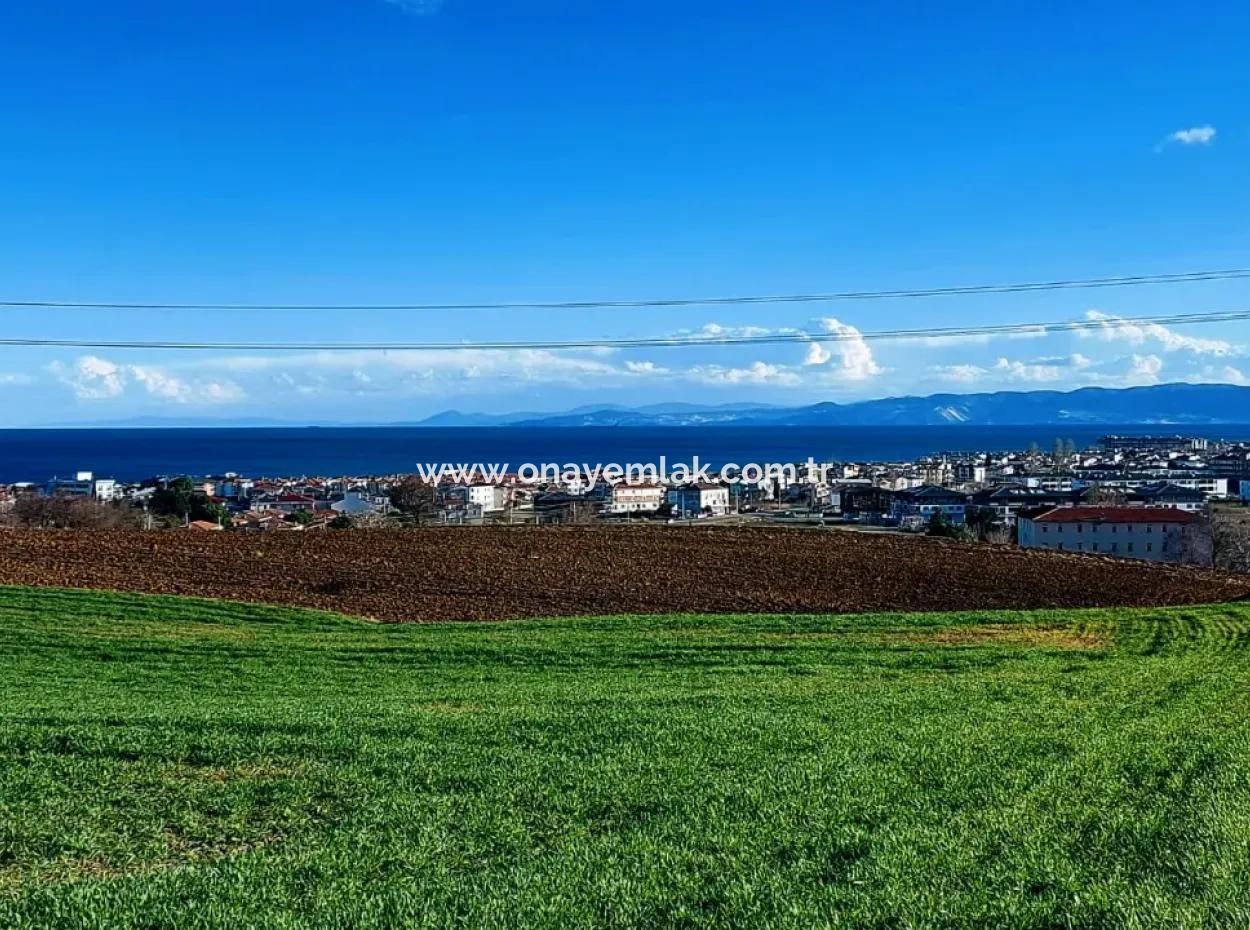 Dieses 11.100 M2 Große Wohngrundstück Befindet Sich In Süleymanpaşa Barbaros, Tekirdag, In Einer Großartigen Lage.