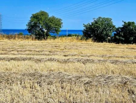 8.500 M2 Wohngebiet Zum Dringenden Verkauf In Der Nähe Des Hafens Von Asyaport