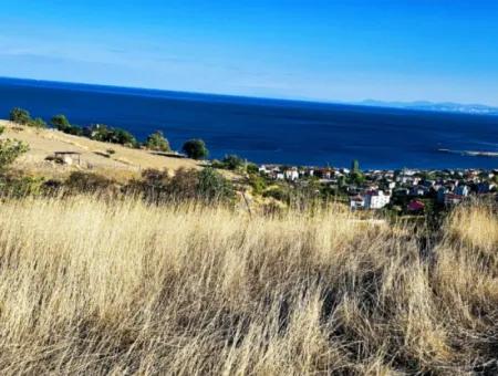 532 M2 Eckgrundstück Zum Verkauf In Tekirdag Süleymanpaşa Barbaros Nachbarschaft Mit Herrlichem Meer- Und Naturblick