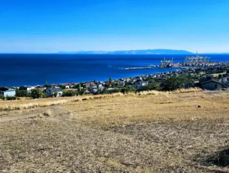 25 Wohnungen Mit Vollem Meerblick Gutscheinplatz Zum Dringenden Verkauf In Tekirdag Barbarosta