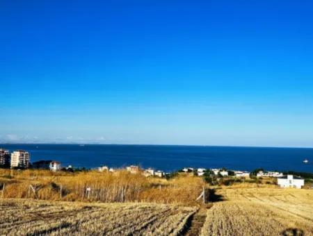 1.750 M2 Schnäppchen-Eckgrundstück Mit Vollem Meerblick Zum Dringenden Verkauf In Tekirdag Barbarosta