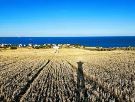 1.750 M2 Schnäppchen-Eckgrundstück Mit Vollem Meerblick Zum Dringenden Verkauf In Tekirdag Barbarosta