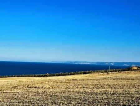 1.750 M2 Schnäppchen-Eckgrundstück Mit Vollem Meerblick Zum Dringenden Verkauf In Tekirdag Barbarosta