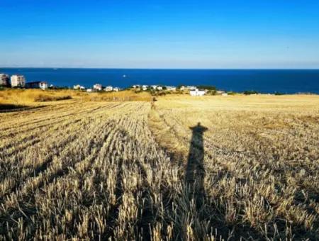 1.750 M2 Schnäppchen-Eckgrundstück Mit Vollem Meerblick Zum Dringenden Verkauf In Tekirdag Barbarosta