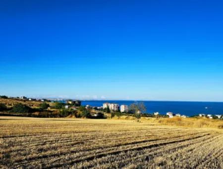 1.750 M2 Schnäppchen-Eckgrundstück Mit Vollem Meerblick Zum Dringenden Verkauf In Tekirdag Barbarosta