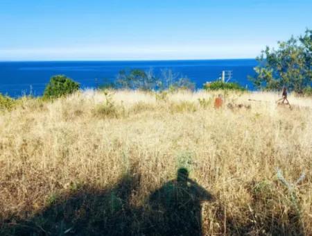 590 M2 Grundstück Mit Vollem Meerblick In Tekirdag Barbarossa, Geeignet Für 3 Villen!