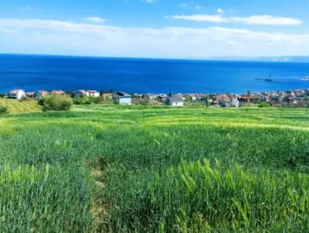 Tekirdag Barbarosta 42 Wohnungen Zum Dringenden Verkauf Genossenschaft Und Geeigneter Ort Für Den Bau Der Baustelle