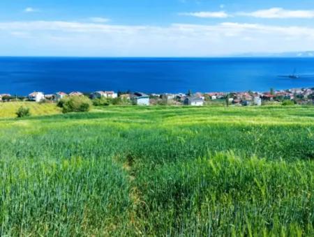 Tekirdag Barbarosta 42 Wohnungen Zum Dringenden Verkauf Genossenschaft Und Geeigneter Ort Für Den Bau Der Baustelle