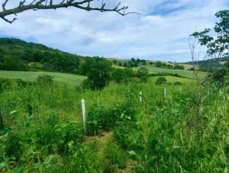 2.820 M2 Gutscheinplatz Geeignet, Um Tiny House In Der Natur Zum Dringenden Verkauf Im Viertel Tekirdağ Avşar Zu Platzieren