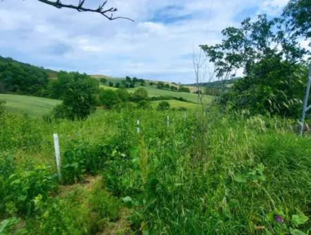 2.820 M2 Gutscheinplatz Geeignet, Um Tiny House In Der Natur Zum Dringenden Verkauf Im Viertel Tekirdağ Avşar Zu Platzieren