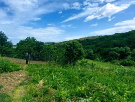 2.820 M2 Gutscheinplatz Geeignet, Um Tiny House In Der Natur Zum Dringenden Verkauf Im Viertel Tekirdağ Avşar Zu Platzieren