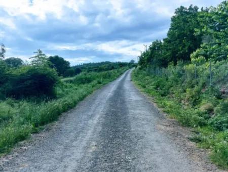 Gutscheinplatz Geeignet Für Den Dringenden Verkauf Von 580 M2 Tiny House Im Herzen Der Natur In Tekirdag Avşarda