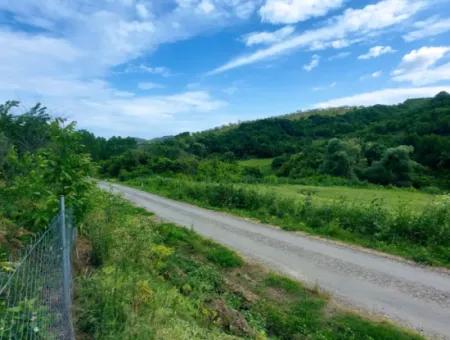 Gutscheinplatz Geeignet Für Den Dringenden Verkauf Von 580 M2 Tiny House Im Herzen Der Natur In Tekirdag Avşarda