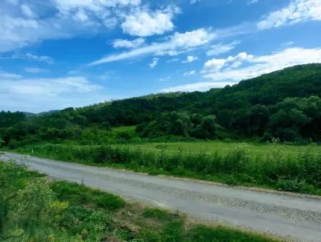 Gutscheinplatz Geeignet Für Den Dringenden Verkauf Von 580 M2 Tiny House Im Herzen Der Natur In Tekirdag Avşarda