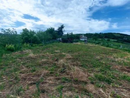 Gutscheinplatz Geeignet Für Den Dringenden Verkauf Von 580 M2 Tiny House Im Herzen Der Natur In Tekirdag Avşarda