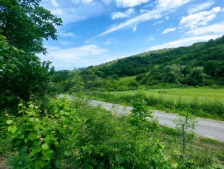 Gutscheinplatz Geeignet Für Den Dringenden Verkauf Von 580 M2 Tiny House Im Herzen Der Natur In Tekirdag Avşarda