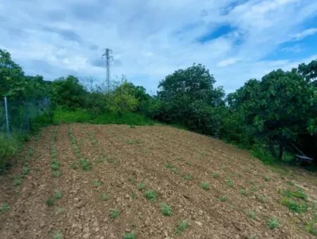 Gutscheinplatz Geeignet Für Den Dringenden Verkauf Von 580 M2 Tiny House Im Herzen Der Natur In Tekirdag Avşarda