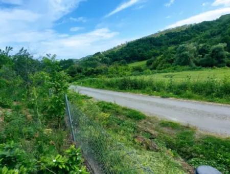 Gutscheinplatz Geeignet Für Den Dringenden Verkauf Von 580 M2 Tiny House Im Herzen Der Natur In Tekirdag Avşarda