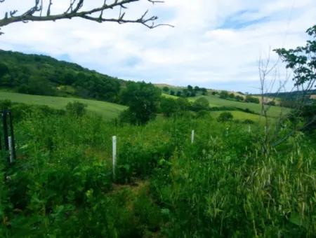 Gutscheinplatz Geeignet Für Den Dringenden Verkauf Von 580 M2 Tiny House Im Herzen Der Natur In Tekirdag Avşarda