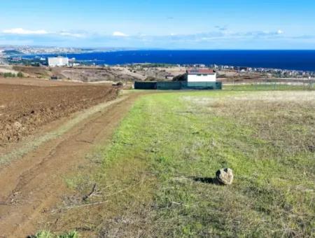 Dringender Verkauf In Barbarosta, Tekirdag, 15.000 M2 Villa Zoniertes Feld!