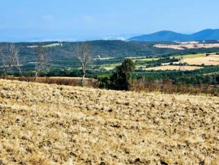 Tekirdağ Aşağkiliçli Mah. 2.340 M2 Kupon Feld Für Dringenden Verkauf, Das Hohe Gewinne Verspricht Und Sich Für Kauf Und Verkauf Eignet