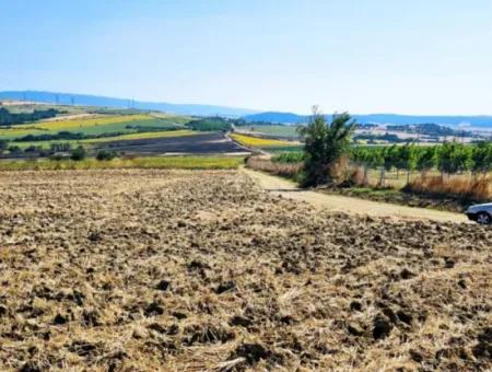 Tekirdağ Aşağkiliçli Mah. 2.340 M2 Kupon Feld Für Dringenden Verkauf, Das Hohe Gewinne Verspricht Und Sich Für Kauf Und Verkauf Eignet