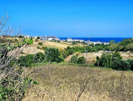 9.100 M2 Villa Zoniertes Feld Zum Dringenden Verkauf In Tekirdag Barbarosta