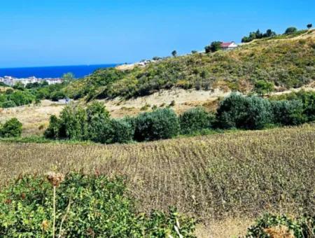 9.100 M2 Villa Zoniertes Feld Zum Dringenden Verkauf In Tekirdag Barbarosta