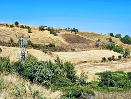 9.100 M2 Villa Zoniertes Feld Zum Dringenden Verkauf In Tekirdag Barbarosta