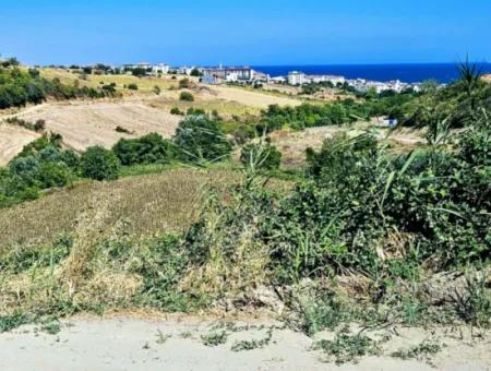 9.100 M2 Villa Zoniertes Feld Zum Dringenden Verkauf In Tekirdag Barbarosta