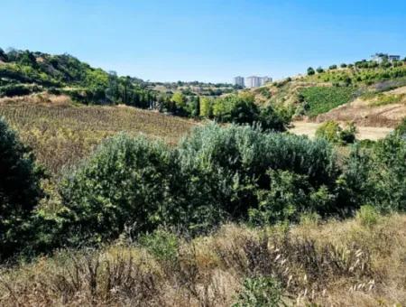 9.100 M2 Villa Zoniertes Feld Zum Dringenden Verkauf In Tekirdag Barbarosta