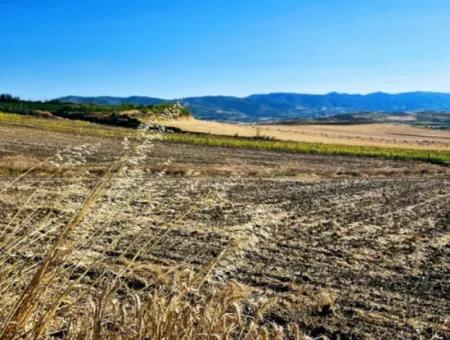 Der Hafen Von Asyaport Liegt Ganz In Der Nähe Der Bestehenden Zonierung Von 17.350 M2 Schnäppchen-Investitionscoupon-Feld Für Den Dringenden Verkauf