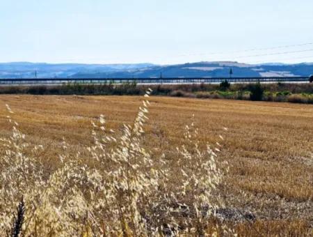 Der Hafen Von Asyaport Liegt Im Rahmen Des Aktuellen Bebauungsplans (