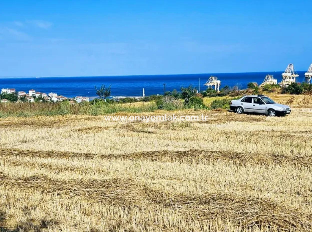 4.150 M2 Residential Zoned Field For Urgent Sale Just 1 Km From Asyaport Port