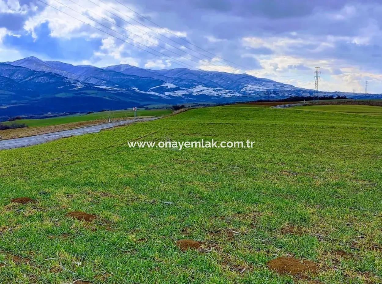 4,100 Square Meters Of Land Facing This Main Road In Tekirdağ Çanakçı Neighborhood