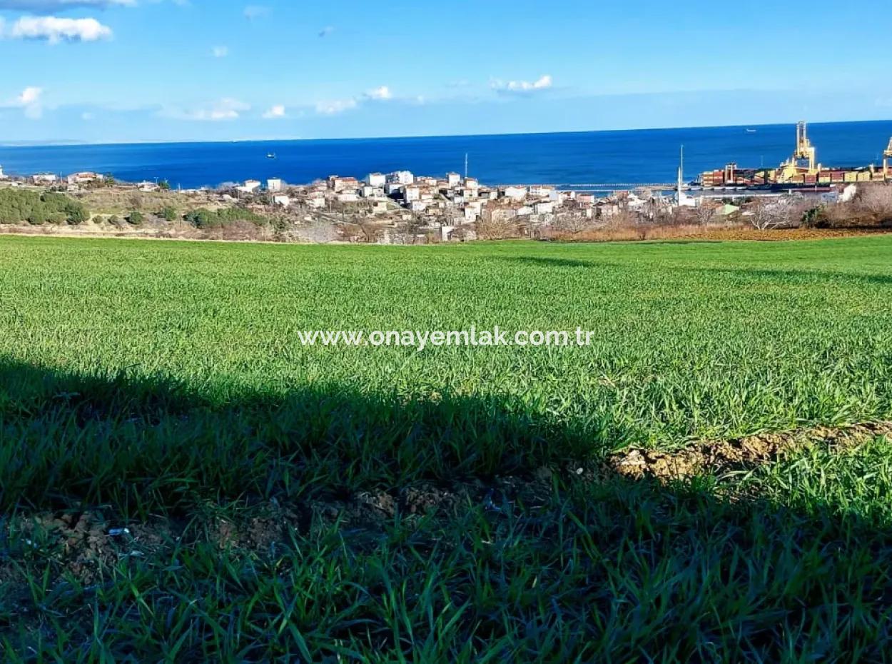 17 980 M2 Field For Sale Close To Tekirdag Barbaros Asyaport Port