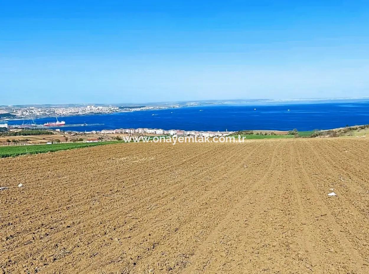 This 9,400 M2 Land In Tekirdag Süleymanpaşa Barbaros Is Located In A Magnificent Location