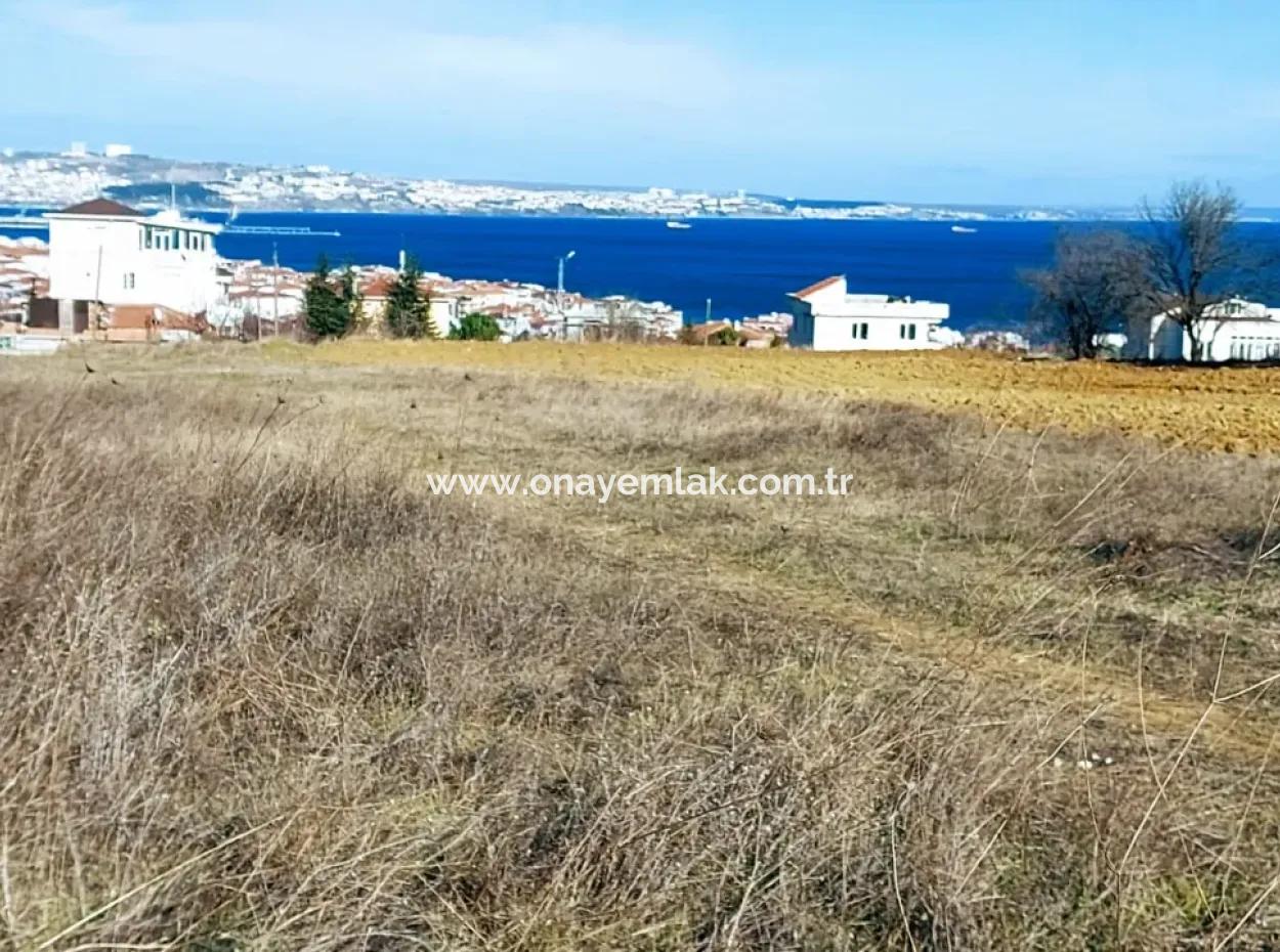 380 M2 Corner Plot For Sale In Topağaç Neighborhood Of Barbaros Tekirdag