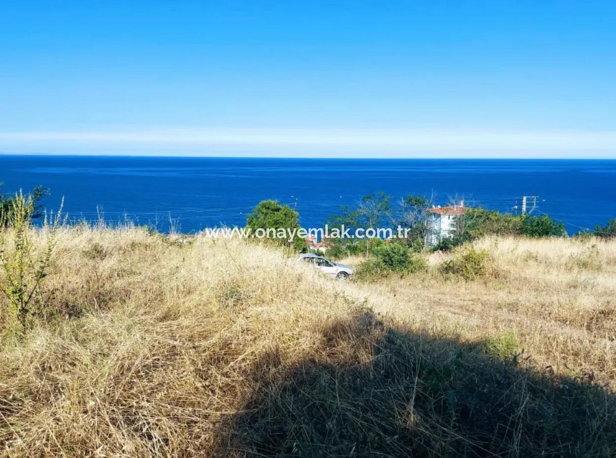 590 M2 Plot Of Land With Full Sea View In Tekirdag Barbarossa, Suitable For 3 Villas!