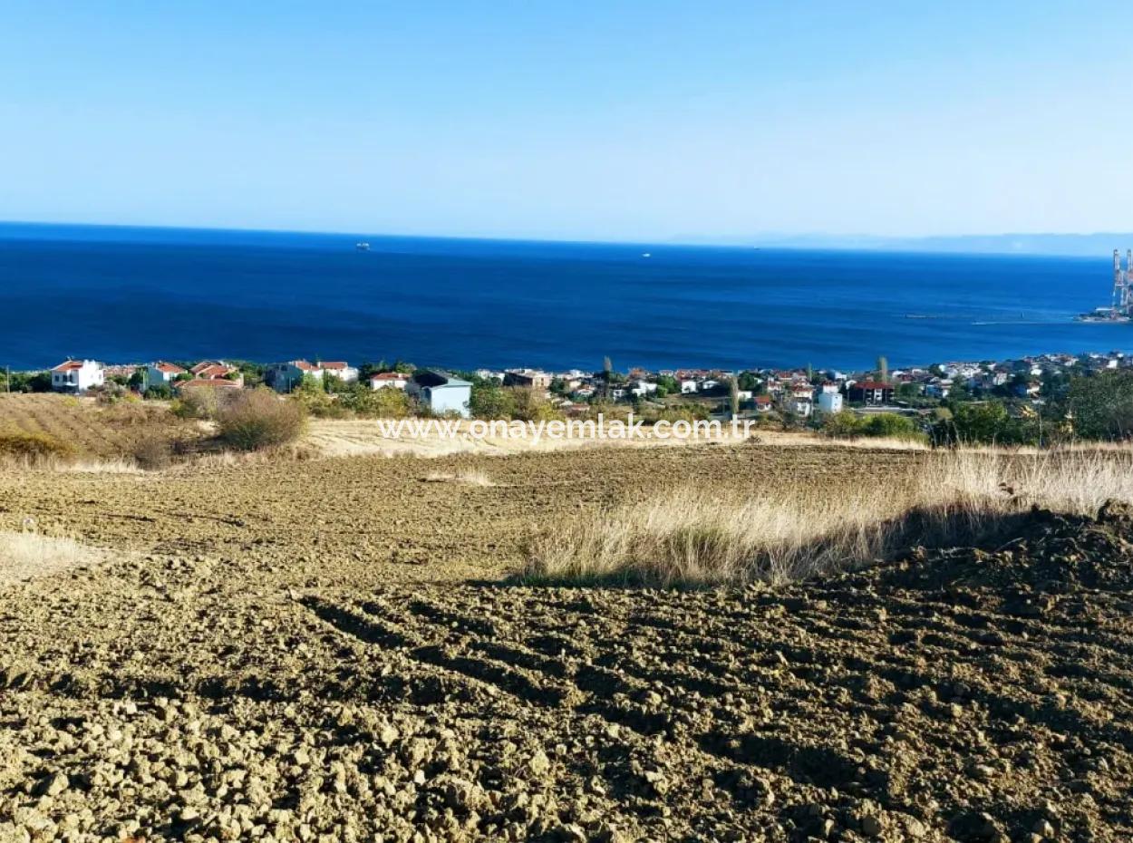 16.850 M2 Sea And Nature View Cooperative And Site Zoned Investment Land In Tekirdağ Barbaros!