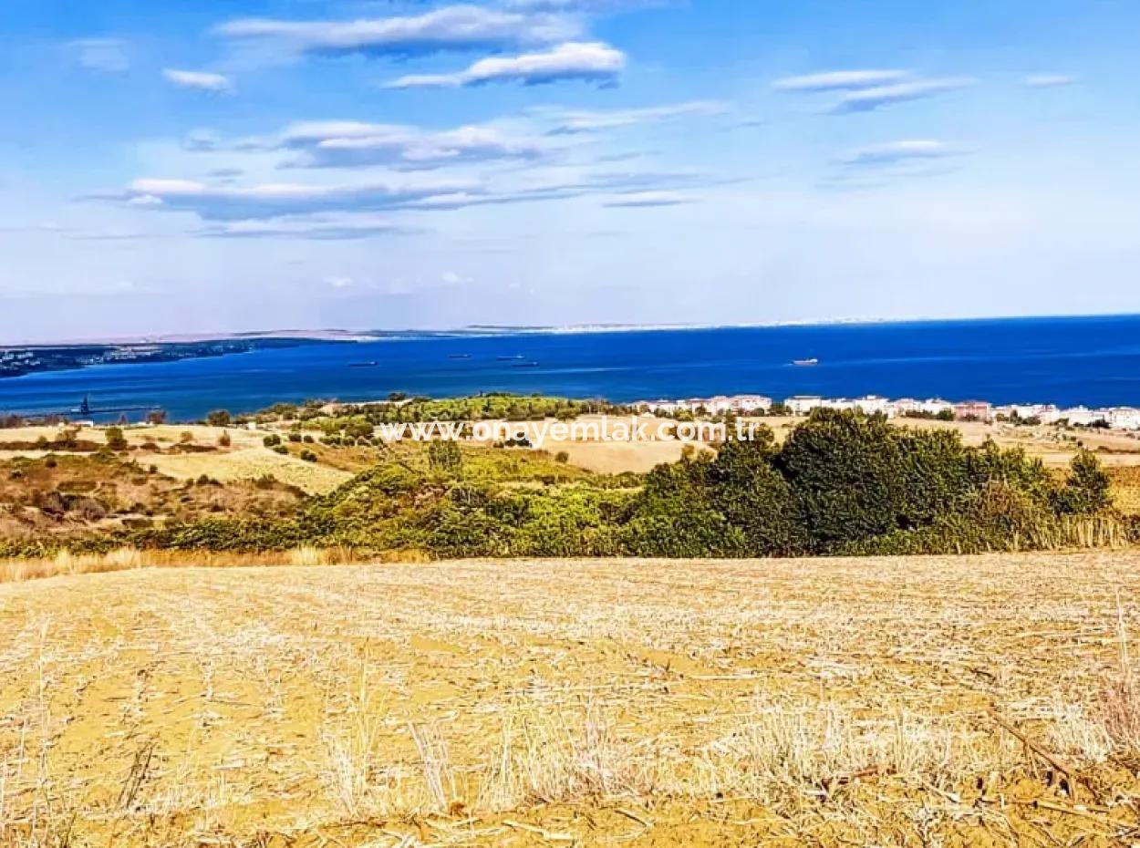 Tekirdağ Barbarosta, 15.500 M2 Full Sea And Nature View Villa Zoned Investment Land!