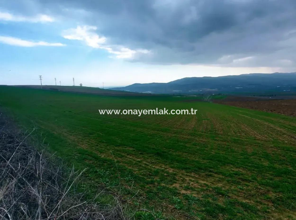 Commercial And Industrial Area Investment Opportunity Within The Current Zoning Plan Of Asyaport Port In Tekirdağ Barbaros Region