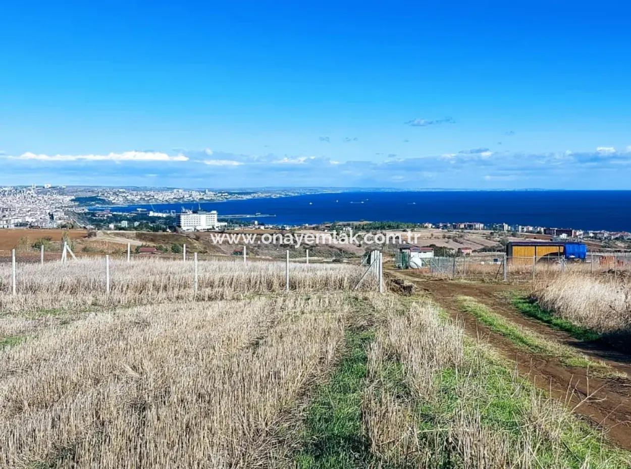 15.500 M2 Full Sea View Villa For Urgent Sale In Tekirdag Topağaç Neighborhood