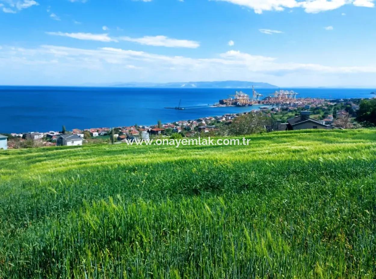 Tekirdag Barbarosta 42 Flats For Urgent Sale Cooperative And Suitable Place For Site Construction