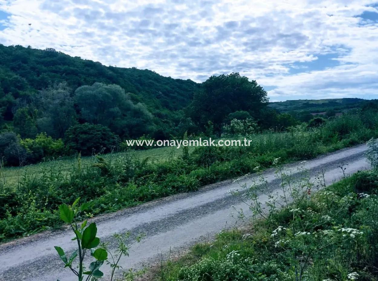 2.820 M2 Coupon Place Suitable To Put Tiny House In Nature For Urgent Sale In Tekirdağ Avşar Neighborhood