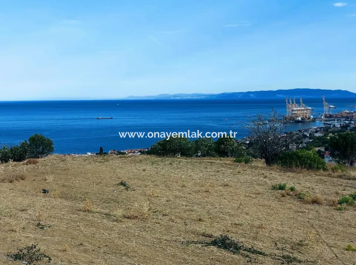 Coupon Land For Urgent Sale Suitable For Building Your Detached House With Wonderful Sea View In Tekirdag Barbarosta