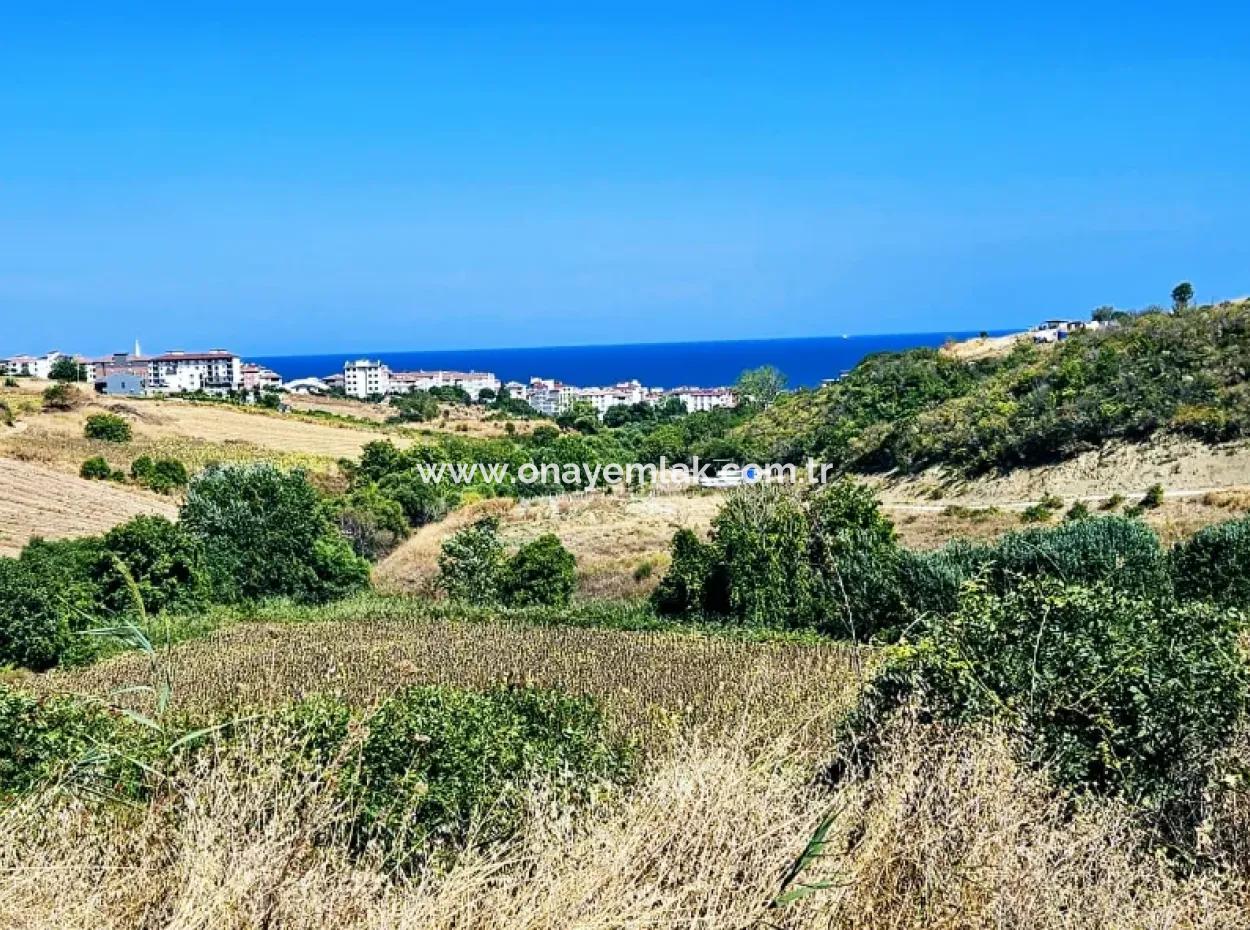 9.100 M2 Villa Zoned Field For Urgent Sale In Tekirdag Barbarosta