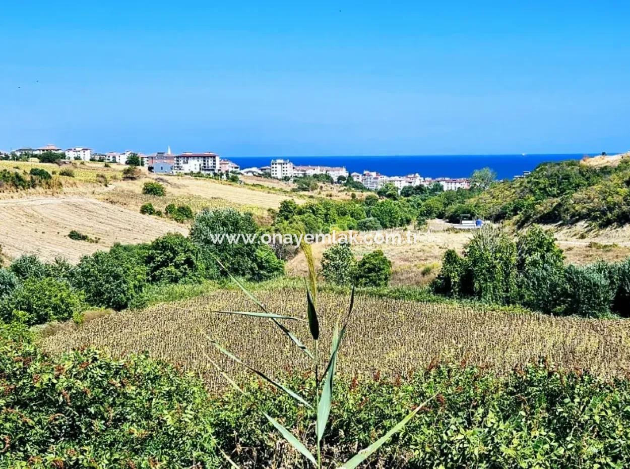 9.100 M2 Villa Zoned Field For Urgent Sale In Tekirdag Barbarosta